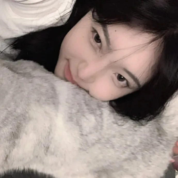 ST 红白的搜查档案